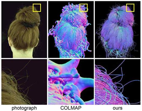 Multi View Hair Capture Using Orientation Fields