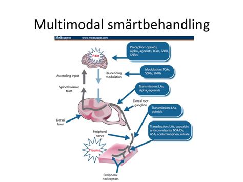 multimodal smärtbehandling