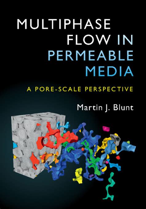 multiphase flow in permeable media a pore scale p