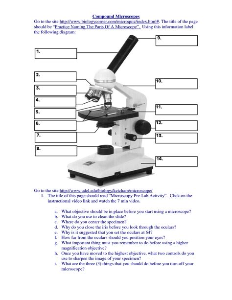 Multiple Choice Quiz On Compound Microscope Parts And Compound Light Microscope Worksheet Answers - Compound Light Microscope Worksheet Answers