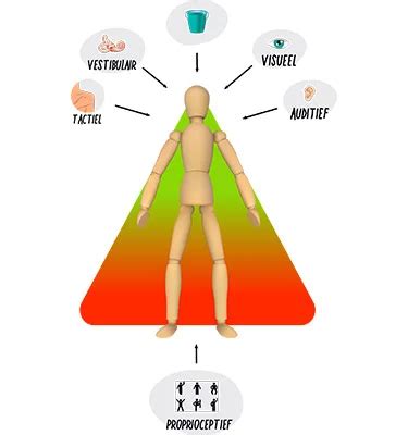 multisensorische integratie