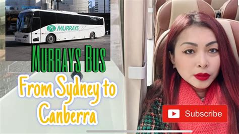 murrays coaches canberra to sydney