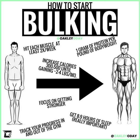 muscle recovery time chart Google Search in 2020 Fun workouts