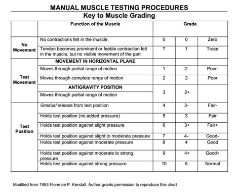 Muscle Strength Grades