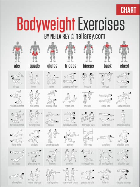 Muscle Workout Chart