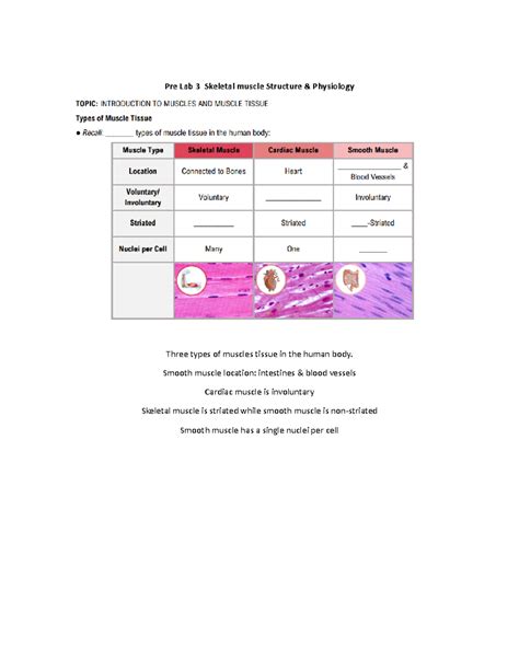 Full Download Muscle Physiology Prelab Assignment Bctc 