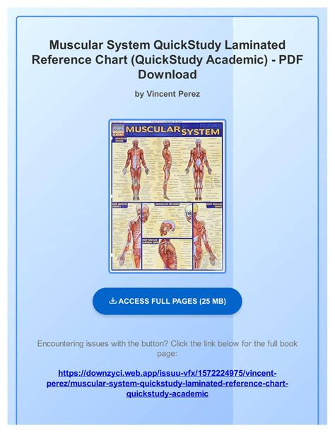 muscular system quickstudy academic