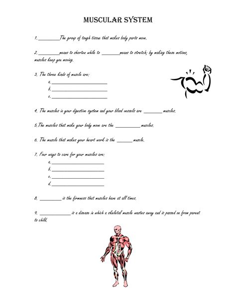 Muscular System Unit Worksheets And Activities Homeschool Den Muscular System Worksheet Grade 7 - Muscular System Worksheet Grade 7