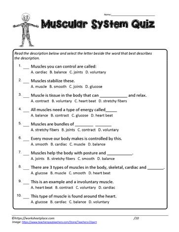 Read Online Muscular System Quiz Questions And Answers 