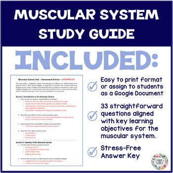 Read Online Muscular System Study Guide Answers 