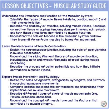 Read Muscular System Study Guide Key 