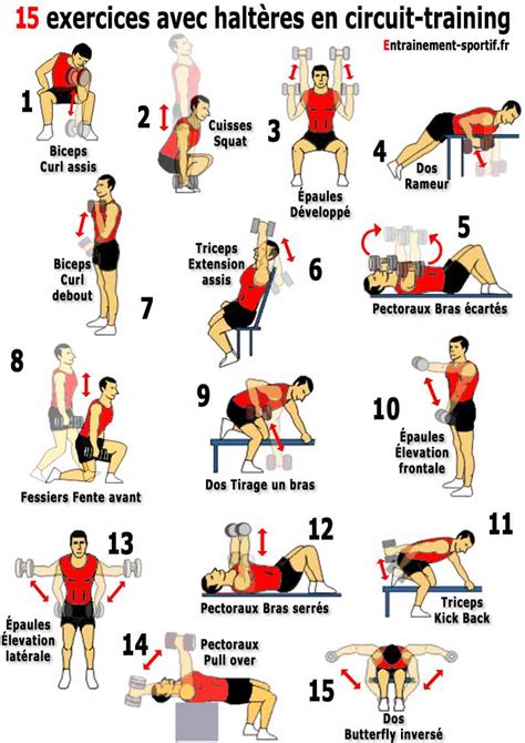 Read Musculation Programmes Et Exercices 