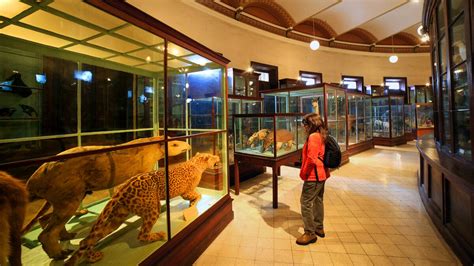 Museo De La Plata