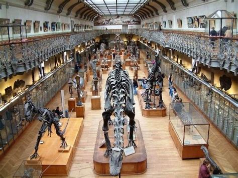 museo di storia naturale di parigi