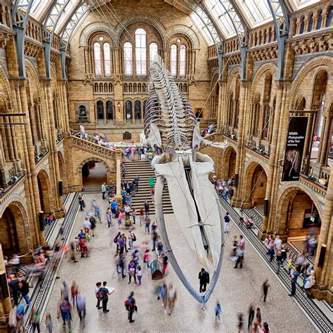 Natural History Museum, London (@natural_history_muse