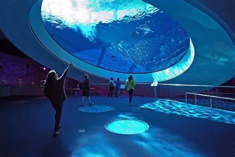 museums in florida