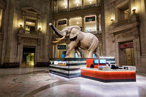 museums washington