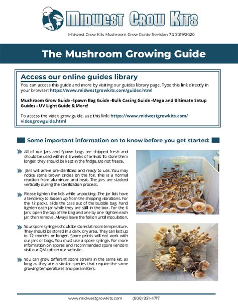 Mushroom Growing Guide Format