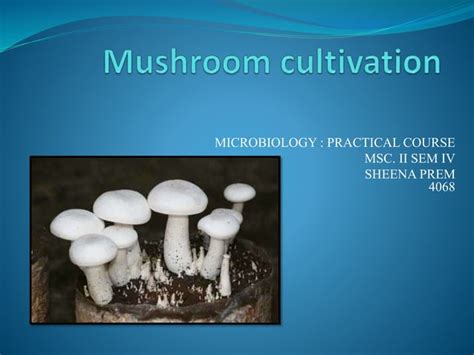 Read Mushroom Cultivation 1 Introduction Nstfdc 