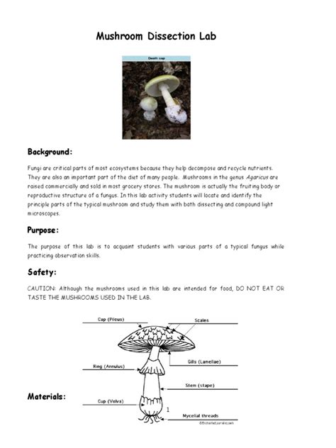 Read Mushroom Dissection Lab Answers 