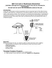 Full Download Mushroom Dissection Lab Answers 