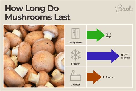 mushrooms how long in fridge