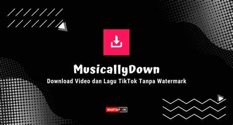 MUSICALLYDOWN COM - Snapchat video download - .com