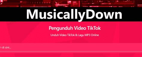 MUSICALLYDOWN IG - Instagram Downloader - Download Instagram Video, Photos, IGTV