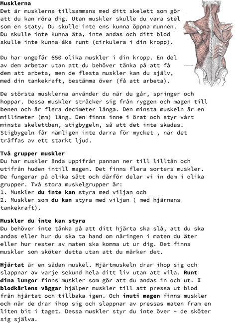 muskler  likt arbetar  från sig själva