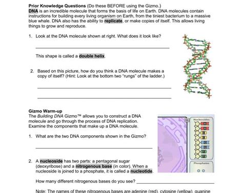 Mutation And Selection Gizmo Answer Key