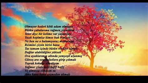 veodersti.rgarabwor.edu.pl. 