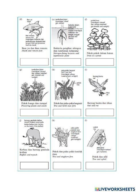 Mutualism Commensalism And Parasitism Worksheets Commensalism Mutualism Parasitism Worksheet - Commensalism Mutualism Parasitism Worksheet