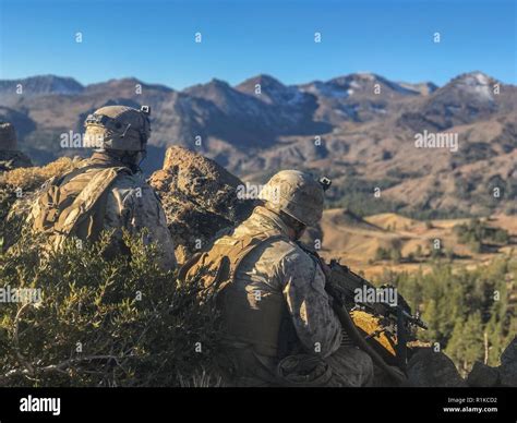 brdice: Aposte nas Melhores Apostas Desportivas Online e Fique Tranquilo com a Proteção de Fundos - Foto 2