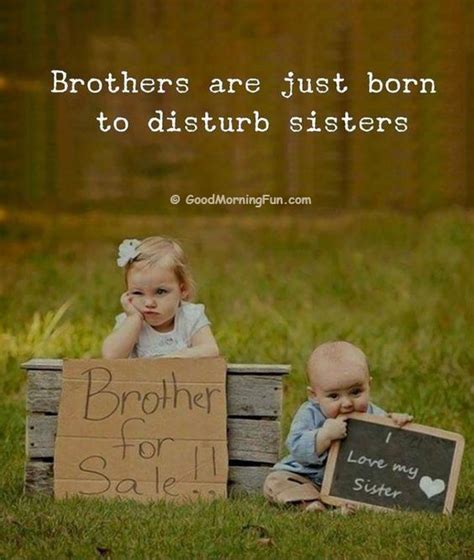 My Brother Funny Quotes