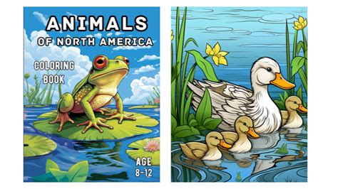 My Coloring Book Animals Of North America North American Animals Coloring Pages - North American Animals Coloring Pages