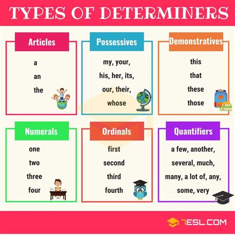 My Determiner