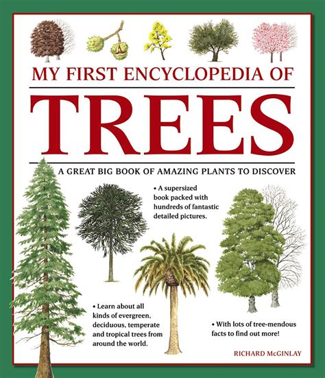 My First Encyclopedia Of Trees Giant Size A Great