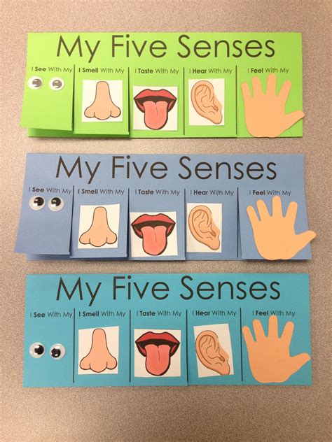 My Five Senses Preschool Activities Lessons And Printables Pictures Of Five Senses For Preschoolers - Pictures Of Five Senses For Preschoolers