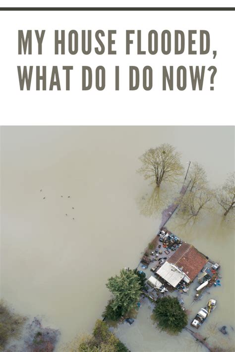 My House Flooded   What Do I Do If My House Floods - My House Flooded