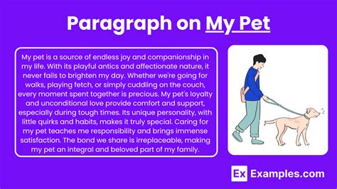 My Pet Paragraph