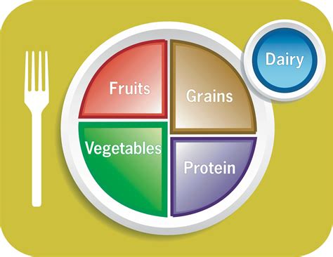 My Plate Healthy Food Choices Balanced Meal Food Making Healthy Food Choices Worksheet - Making Healthy Food Choices Worksheet
