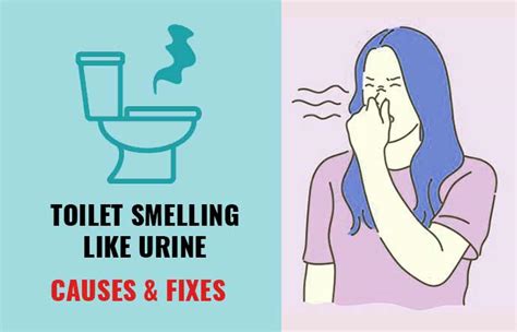 my urine smells like a porta potty