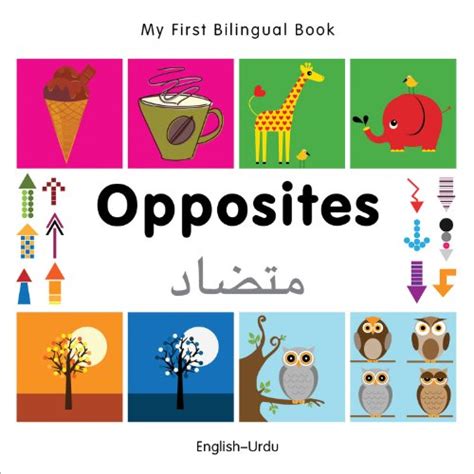 Download My First Bilingual Book Opposites English Urdu 