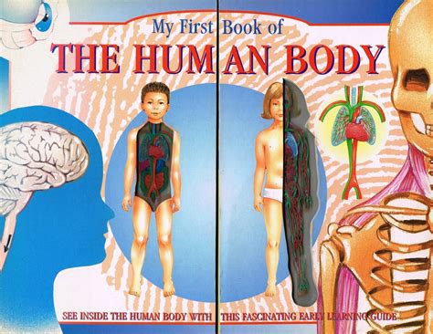 Read My First Book Of The Human Body My First Collins My First 