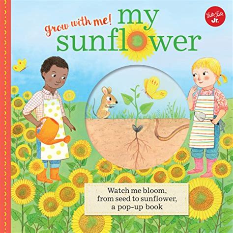 Full Download My Sunflower Watch Me Bloom From Seed To Sunflower A Pop Up Book Grow With Me 