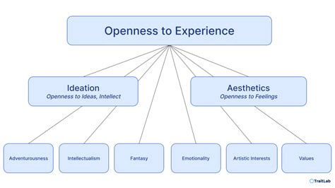 myhabitexperiences.com domain info (My Habit Experiences)