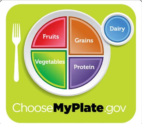 Myplate U S Department Of Agriculture My Plate Printable Worksheet - My Plate Printable Worksheet