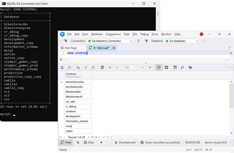 mysql show list