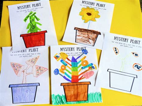 Mystery Seed Creative Writing Pack More Excellent Me Writing Seeds - Writing Seeds