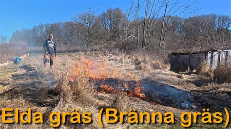 när ska jag bränna högt gräs